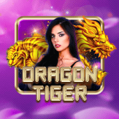 Dragon Tiger jilijili33 casino